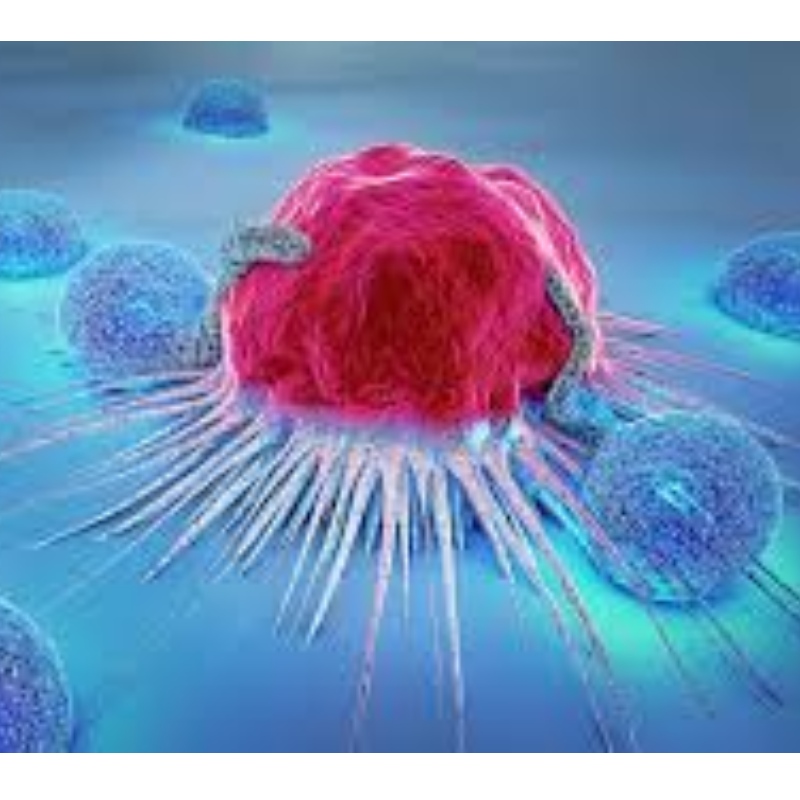 일본 : NMN은 면역 세포 노화에 저항하고 71.4% 종양 성장을 억제합니다.